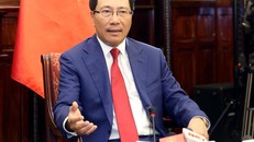 Đối ngoại Việt Nam 2020: Bản lĩnh và tâm thế mới