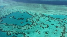 Australia và UNESCO tranh cãi về rạn san hô Great Barrier Reef