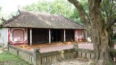 Quảng Trị tăng cường bảo vệ di sản nhà rường cổ Hội Kỳ