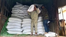 Xuất gạo dự trữ quốc gia để cứu trợ khẩn cấp cho người dân. (Ảnh minh hoạ)
