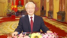 Chủ tịch nước thực hiện hiệu quả các nhiệm vụ trong nhiệm kỳ 2016-2021