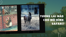 Vườn thú Hà Nội: Tương lai nào cho mô hình safari?