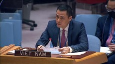 Đại sứ Đặng Hoàng Giang, Trưởng Phái đoàn thường trực Việt Nam tại LHQ.