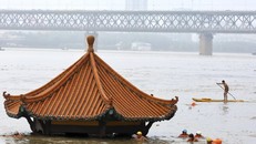 Tổng Thư ký LHQ: 'Nhân loại đang chiến tranh với thiên nhiên'
