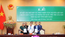 Lộc Trời ký biên bản thỏa thuận hợp tác với MB Bank để phát triển lúa gạo chất lượng cao tại Kiên Giang 
