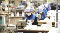 Cơ quan thuộc Chính phủ và các địa phương lập Tổ công tác đặc biệt