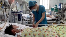 TP Hồ Chí Minh vượt mốc 10.000 ca mắc sốt xuất huyết, nhiều trường hợp nhập viện đã suy đa tạng