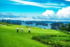 Ngắm trọn kỳ quan Vịnh Hạ Long tại hố 12 sân FLC Golf Club Ha Long