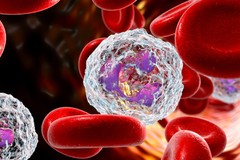 Phát hiện tế bào miễn dịch chống lại ung thư và các bệnh mãn tính