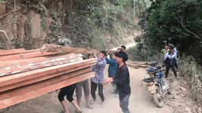 Tan hoang những mảnh rừng ở Nậm Pồ
