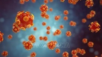 Hình ảnh mô phỏng virus gây bệnh viêm gan. Ảnh: Getty Images/TTXVN