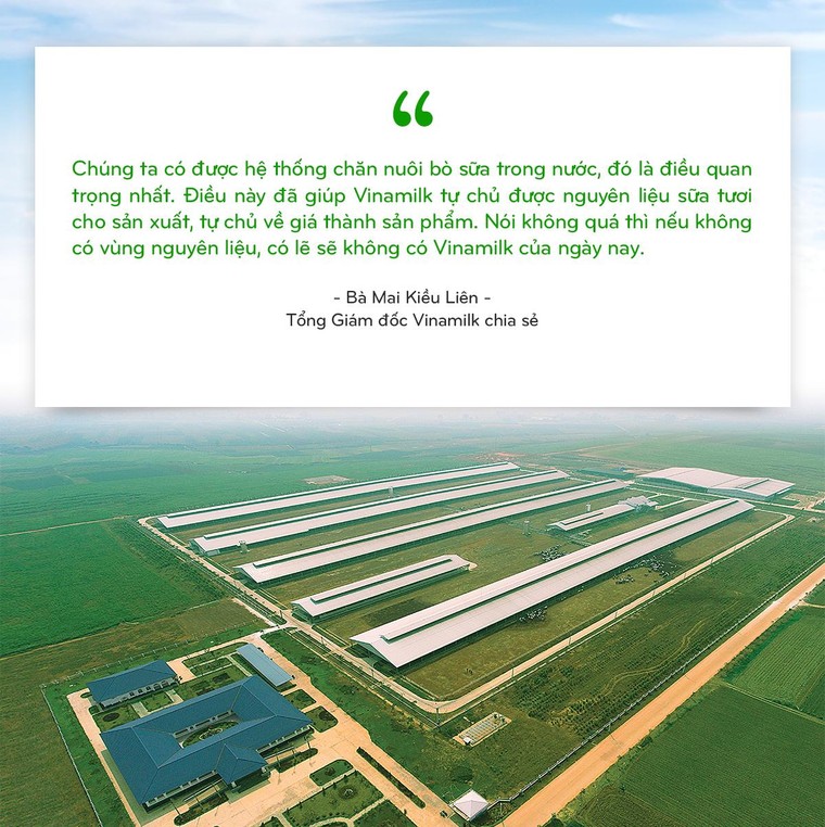 15 năm xây dựng hệ thống trang trại của 'triệu phú sữa tươi' Việt Nam ảnh 1