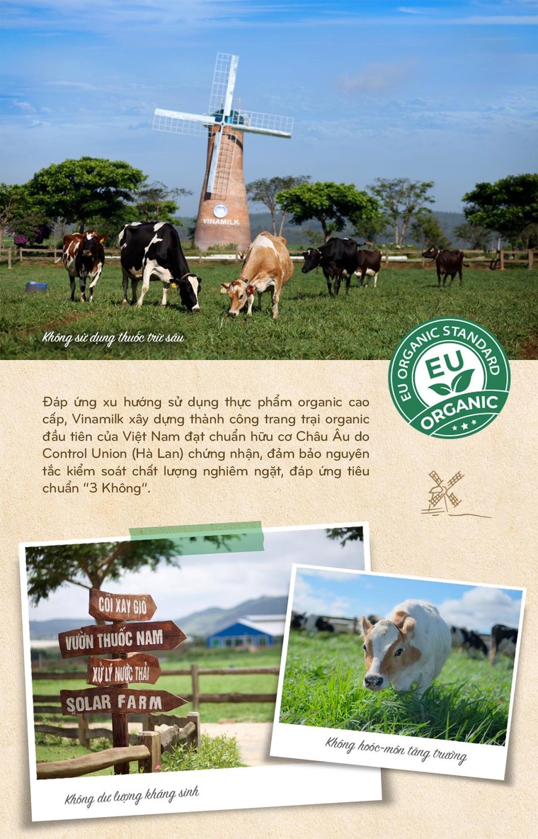 15 năm xây dựng hệ thống trang trại của 'triệu phú sữa tươi' Việt Nam ảnh 10