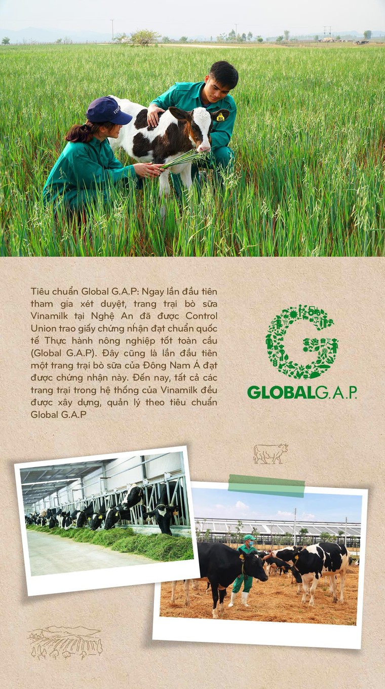 15 năm xây dựng hệ thống trang trại của 'triệu phú sữa tươi' Việt Nam ảnh 11