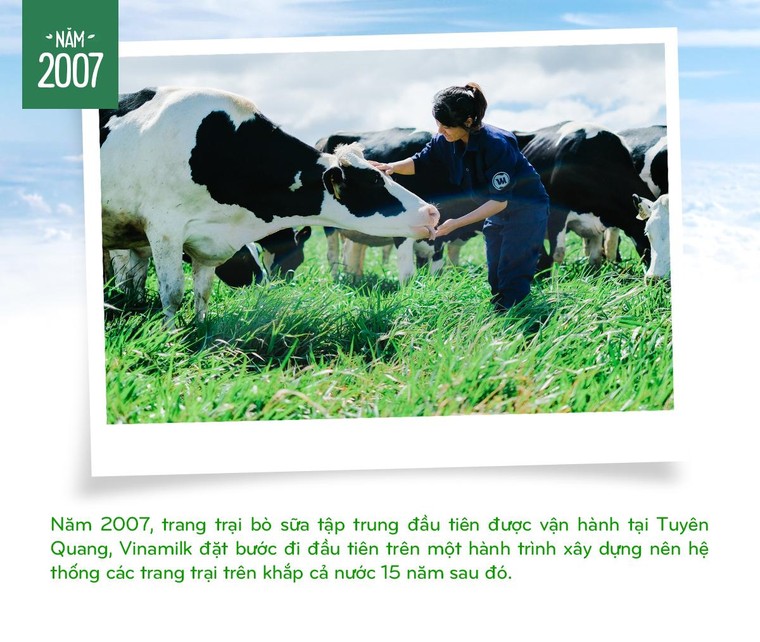 15 năm xây dựng hệ thống trang trại của 'triệu phú sữa tươi' Việt Nam ảnh 2