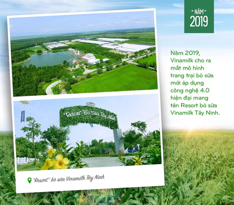 15 năm xây dựng hệ thống trang trại của 'triệu phú sữa tươi' Việt Nam ảnh 6