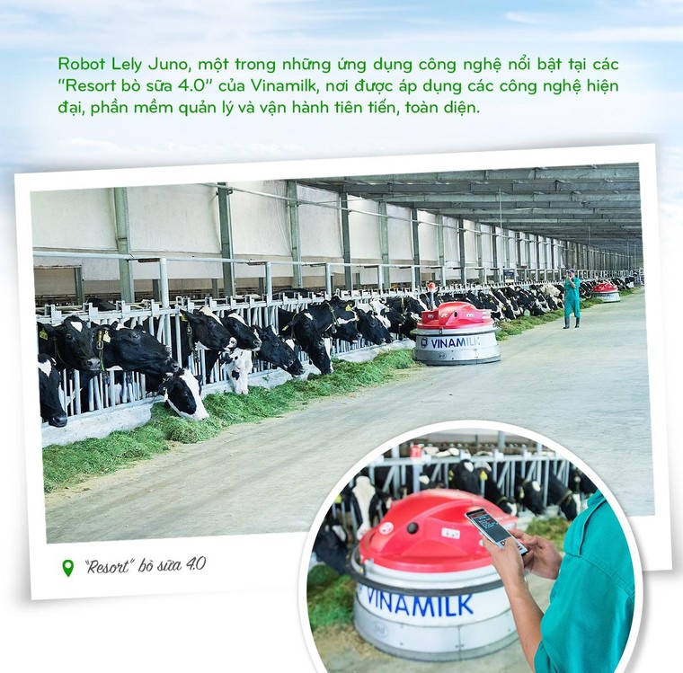 15 năm xây dựng hệ thống trang trại của 'triệu phú sữa tươi' Việt Nam ảnh 7