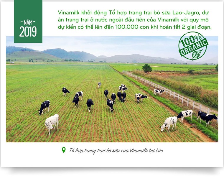 15 năm xây dựng hệ thống trang trại của 'triệu phú sữa tươi' Việt Nam ảnh 8