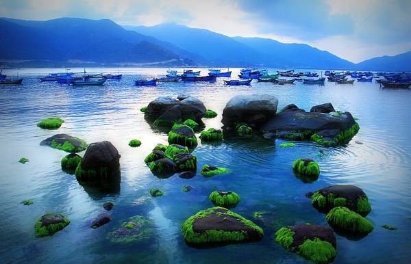 Đảo Bình Ba kết hợp với những đảo nào sau đây để tạo nên Tứ Bình của Việt Nam?