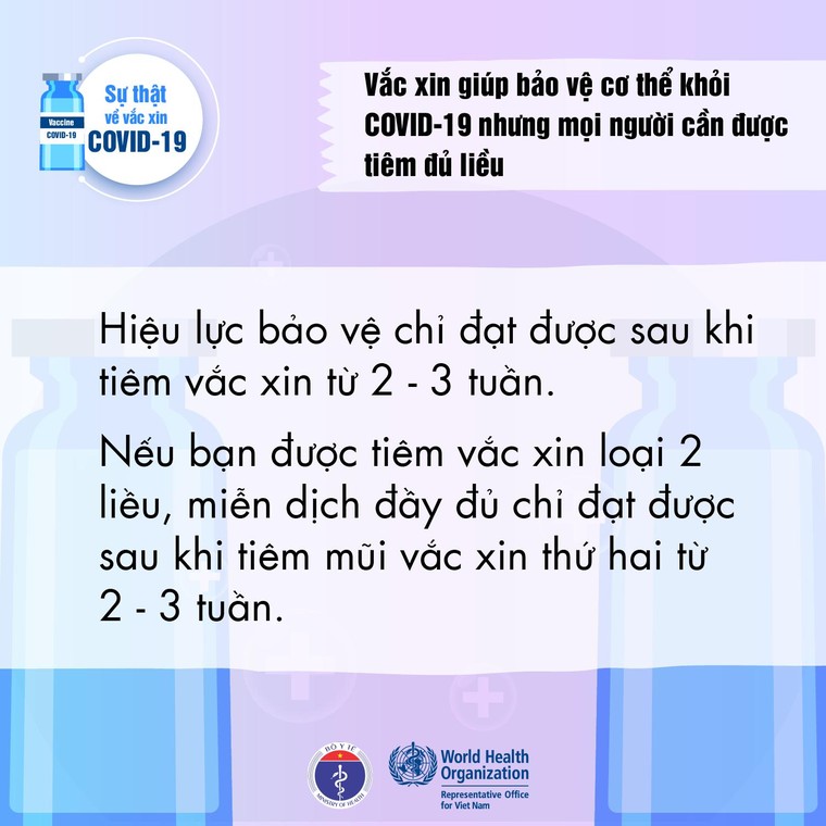 WHO Việt Nam: Sự thật về vaccine ngừa COVID-19 ảnh 8