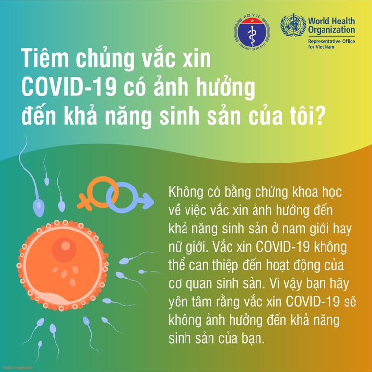 WHO Việt Nam: Sự thật về vaccine ngừa COVID-19 ảnh 2