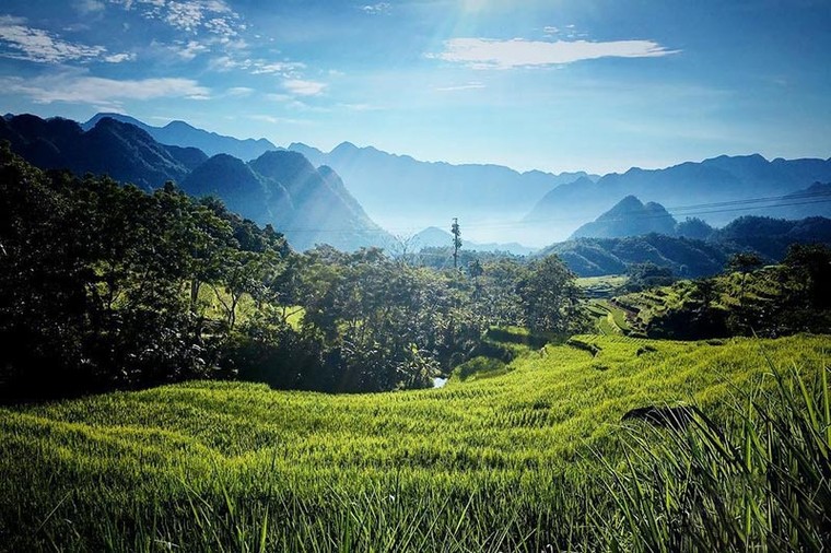 Thanh Hóa có khu bảo tồn thiên nhiên nào sau đây?
