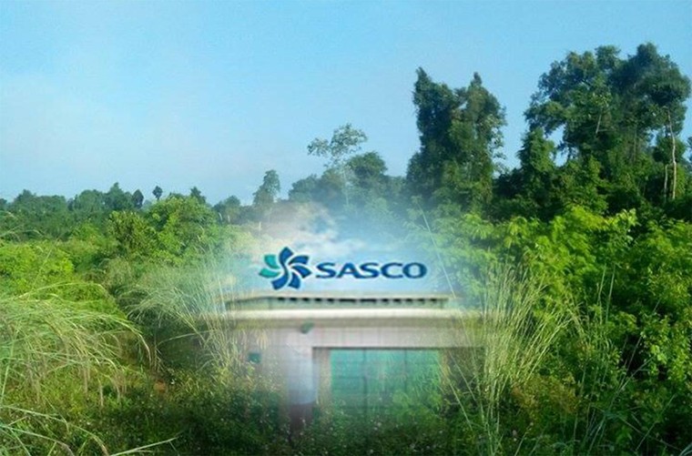 Sasco ‘sa lầy’ vào dự án ở Bình Phước - bài 3: Dự án trồng cây sao su nay về đâu? ảnh 1