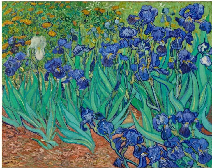 10 bức tranh Vincent van Gogh đắt giá nhất ảnh 8