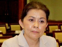 Bà Đào Thị Hương Lan trong kỳ họp HĐND TP HCM năm 2014. Ảnh: An Nhơn.