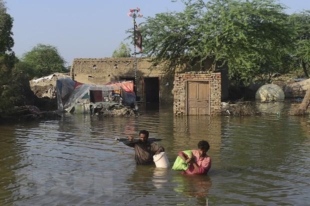 Người dân sơ tán khỏi các khu vực ngập lụt ở Shikarpur, tỉnh Sindh, Pakistan,ngày 31/8/2022. (Ảnh: AFP/TTXVN) 