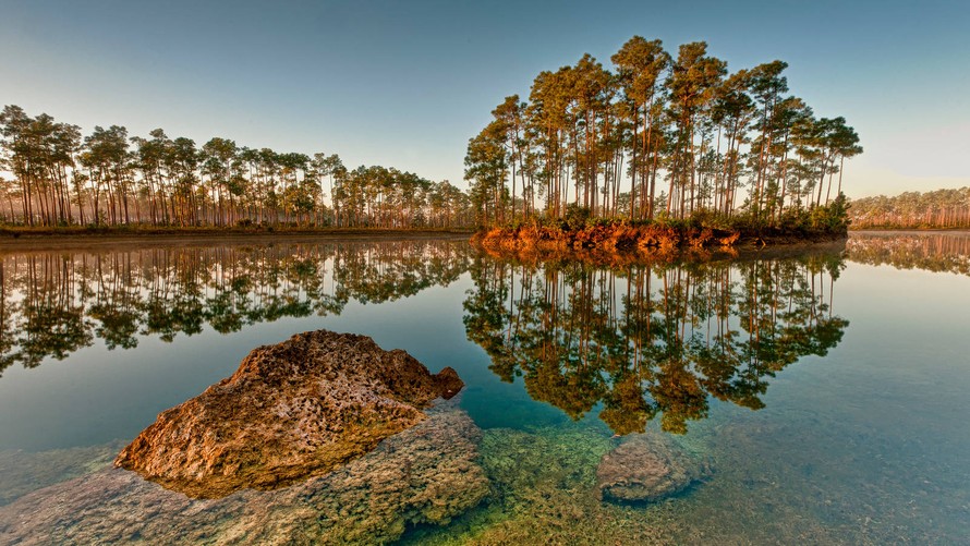 Một khu vực đầm lầy bên trong Vườn quốc gia Everglades. (Nguồn: Getty).