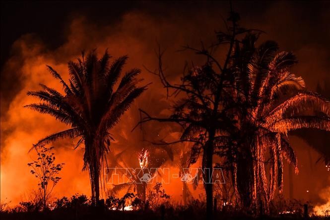 Khói lửa bốc lên từ đám cháy rừng Amazon ở Itaituba, bang Para, Brazil. Ảnh tư liệu: AFP/TTXVN