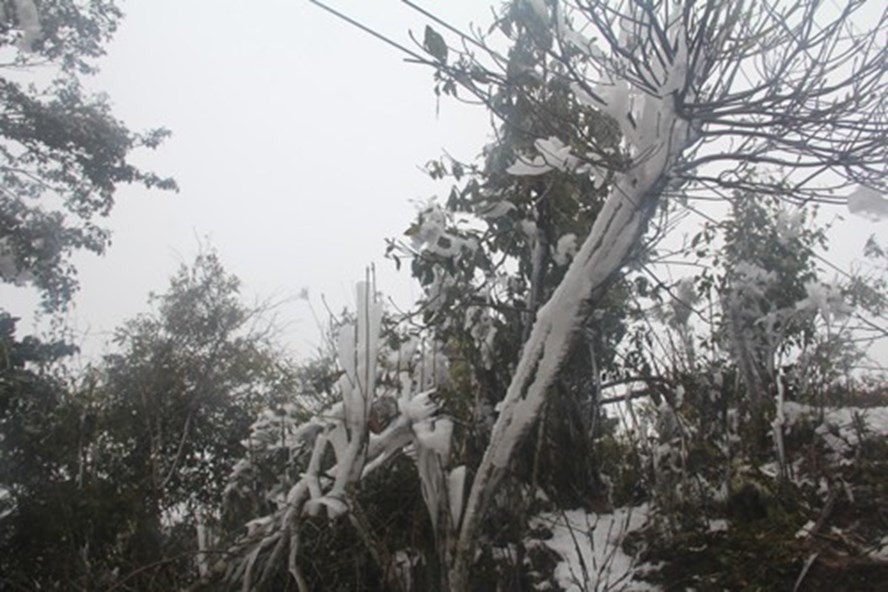 Băng tuyết trên đỉnh Trống Páo Sang (Mù Căng Chải, Yên Bái). Ảnh: Giàng A Lù