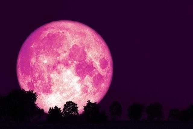 'Siêu trăng hồng' khiến thế giới thích thú