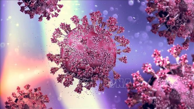 Phát hiện mới về cách hệ miễn dịch của con người phản ứng với virus gây bệnh COVID-19