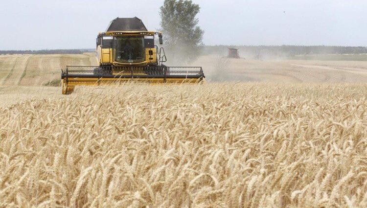 Nguồn cung lương thực của Australia có nguy cơ bị ảnh hưởng do biến đổi khí hậu