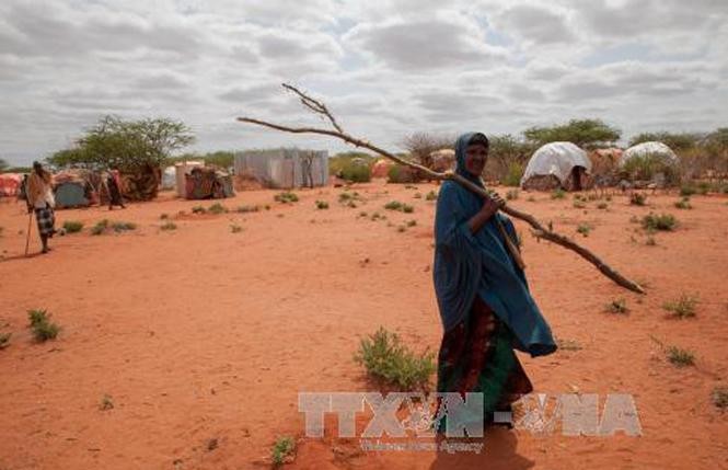 WFP kêu gọi nỗ lực ngăn chặn thảm họa nhân đạo do hạn hán ở Ethiopia