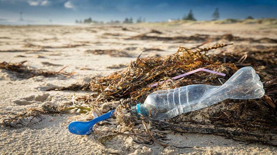 Cảnh báo tình trạng ô nhiễm vi nhựa tại các vùng biển quanh Australia