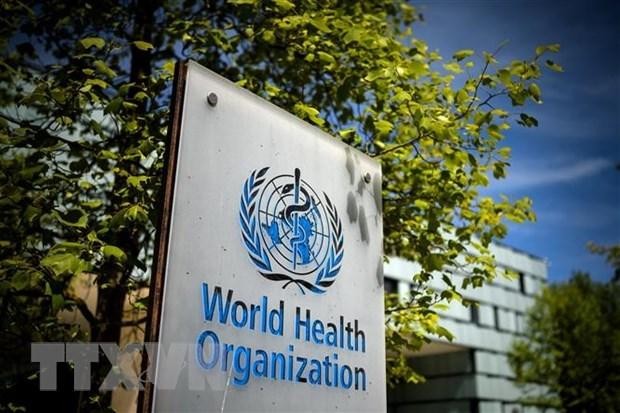 WHO: Bệnh đậu mùa khỉ không ngừng lây lan sẽ đe dọa các nhóm nguy cơ cao