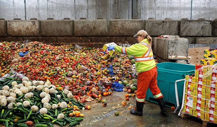 EU tăng cường chống lãng phí thực phẩm