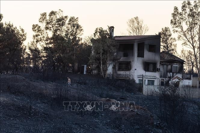 Hy Lạp: Cư dân, du khách trên đảo Lesbos sơ tán do cháy rừng lan rộng