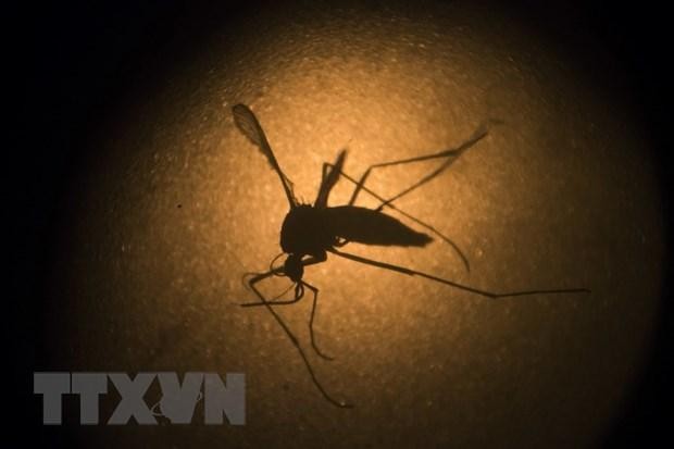 Costa Rica phát hiện trường hợp mắc bệnh sốt xuất huyết chủng 4 sau 22 năm