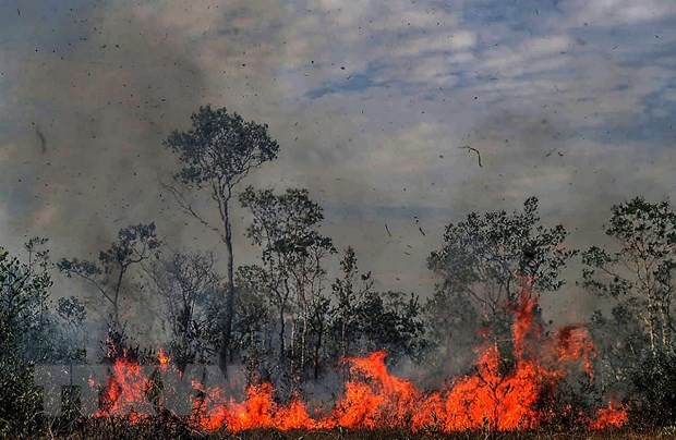 Khói lửa bốc cao trong vụ cháy rừng tại Amazonas,Brazil ngày 26/8. (Nguồn: THX/TTXVN)