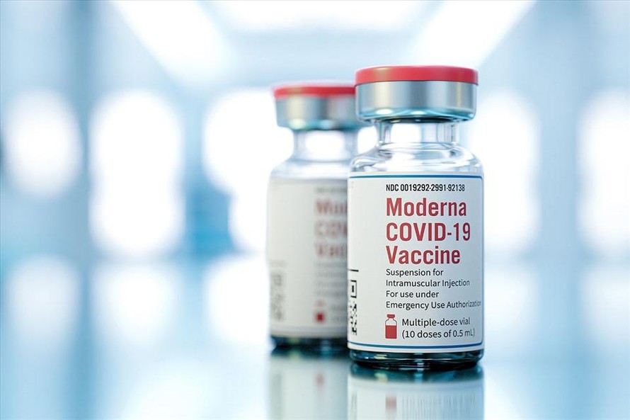 Vaccine đặc trị Omicron của Moderna hứa hẹn được lưu hành tại Nhật Bản vào năm 2023