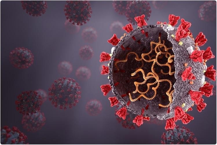 Virus SARS-CoV-2 tiến hóa để vượt qua hệ miễn dịch bẩm sinh của con người