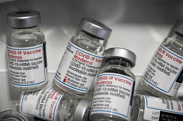 EMA đánh giá khả năng sử dụng vaccine của Moderna cho trẻ dưới 5 tuổi
