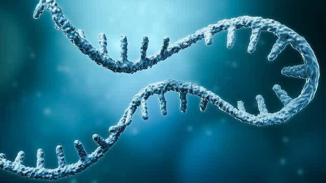 WHO kêu gọi các nước đẩy mạnh phát triển công nghệ gene