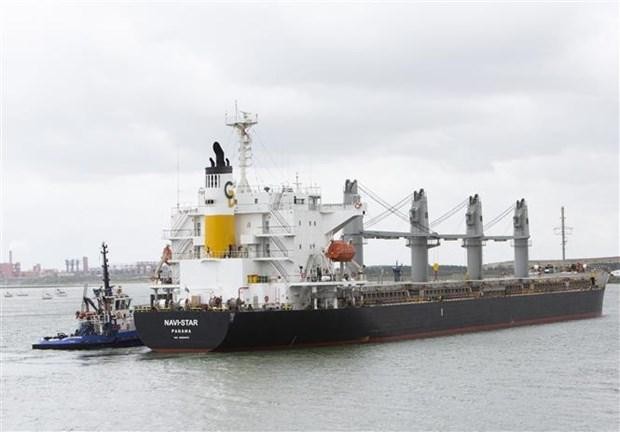 Tàu Navi Star treo cờ Panama chở 33.000 tấn ngũ cốc của Ukraine cập cảng Foynes ở County Limerick, Ireland ngày 20/8/2022. (Ảnh: AFP)