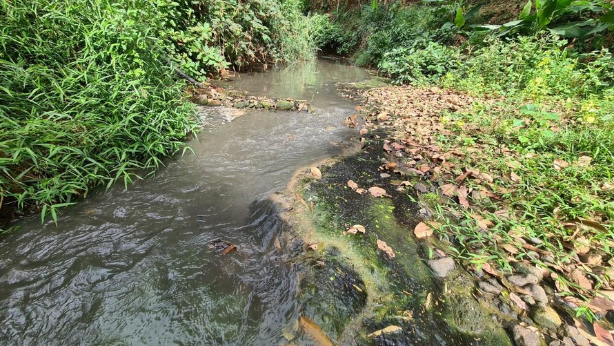 Các dòng suối chảy ra suối chính nước đen và hôi không thể tưới cho cây trồng.