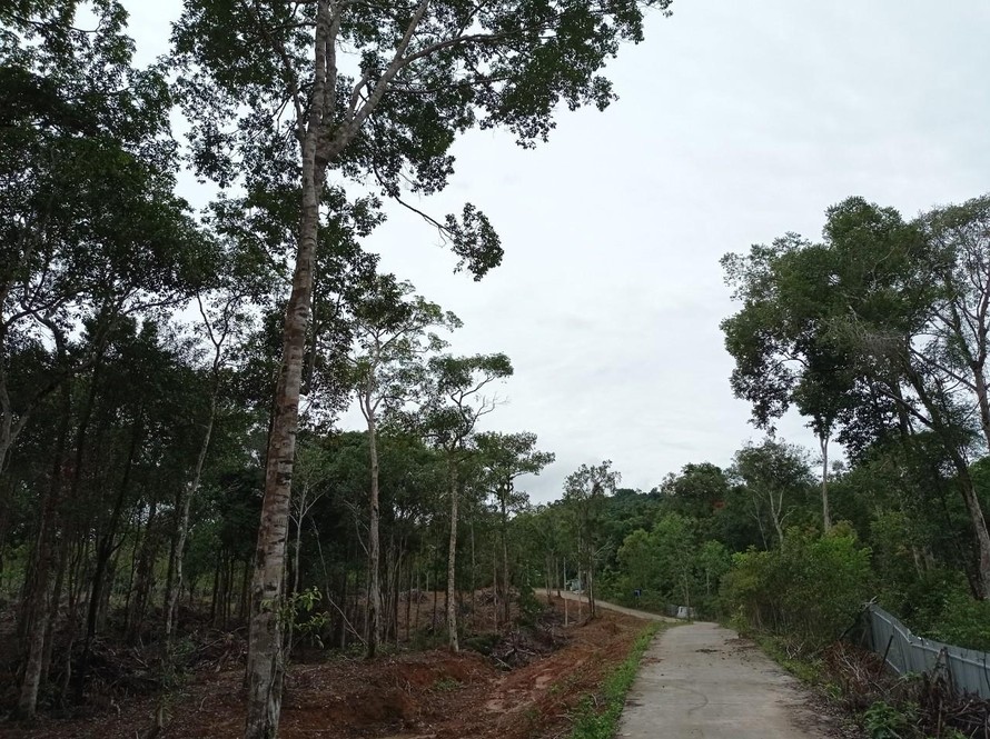 Một góc dự án Khu du lịch sinh thái Vũng Bầu.